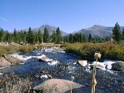 19981018yosemite17.jpg (56890 oCg)